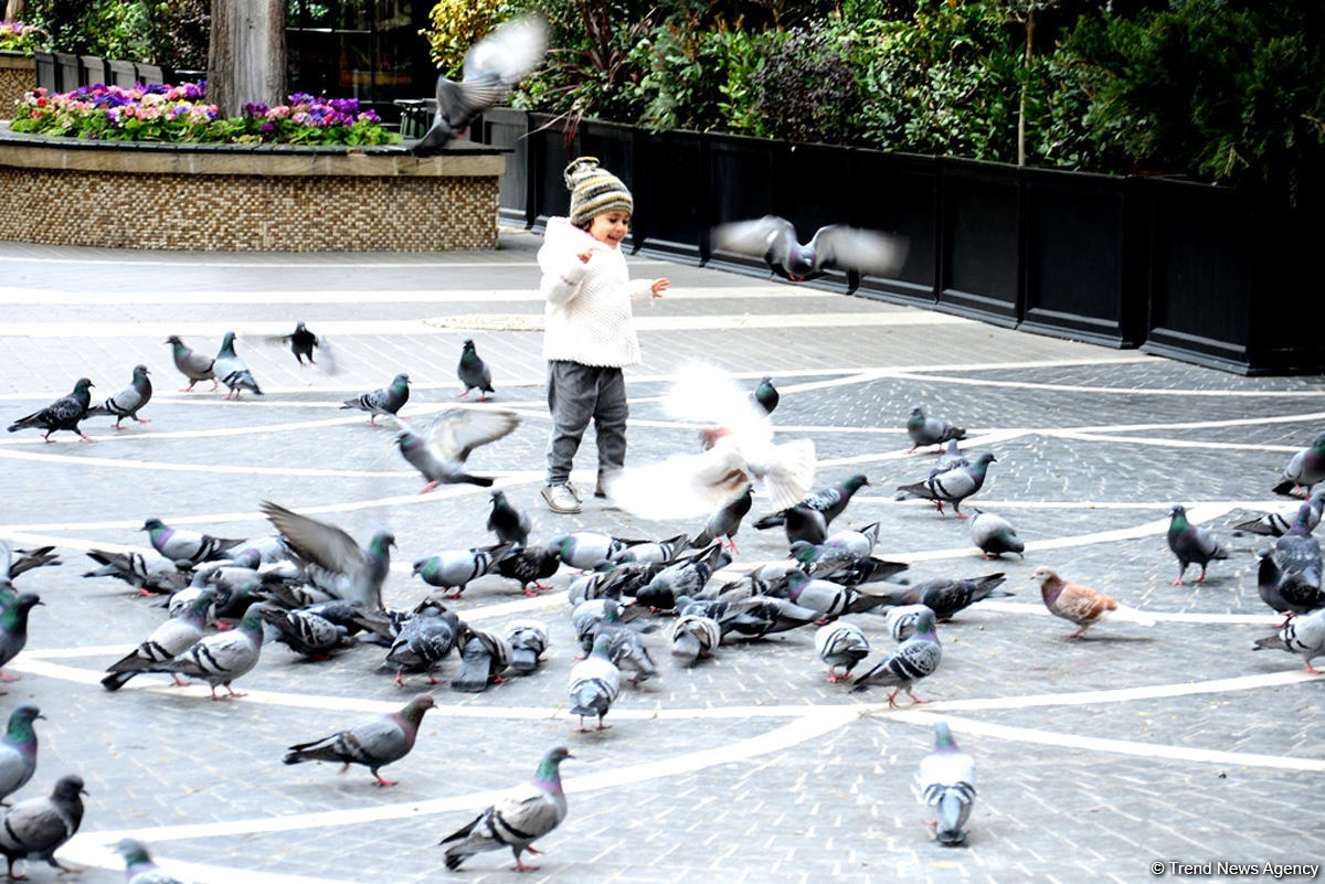 Туристы в Баку отмечают праздник Новруз (ФОТО)