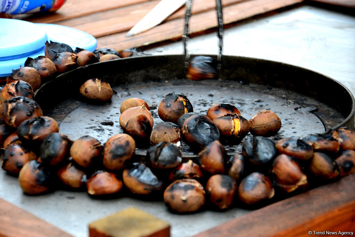 Туристы в Баку отмечают праздник Новруз (ФОТО)