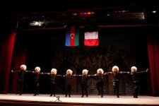 В Баку прошел гала-вечер Международного фестиваля искусств "Testene Art Baku" (ФОТО)