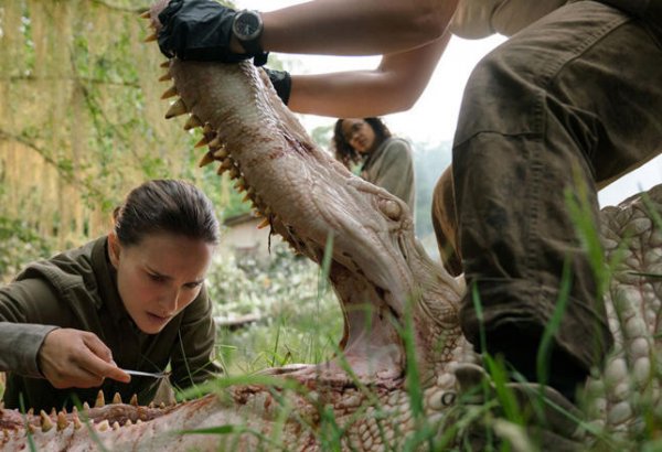 Рейтинг лучших фильмов начала года