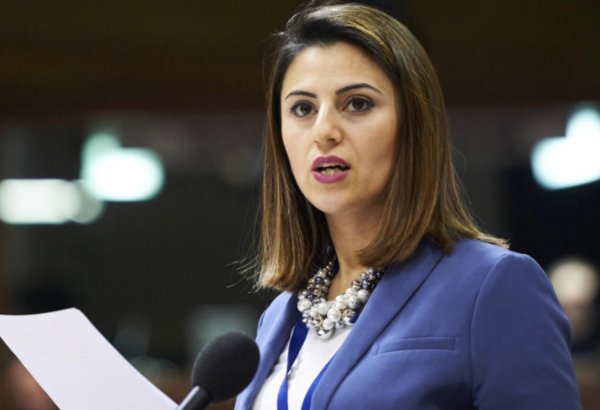 Антикоррупционный доклад ПАСЕ скорее обвинение, а не подозрение – азербайджанский депутат