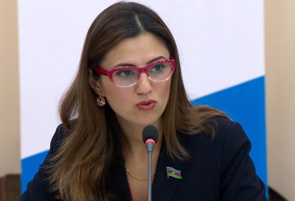 Азербайджанский депутат в ПАСЕ: Будущее Армении зависит от урегулирования нагорно-карабахского конфликта