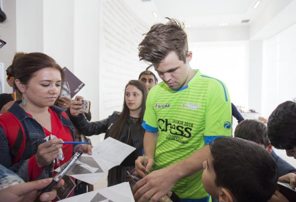 Определился победитель Shamkir Chess 2018 с участием лидеров мировых шахмат