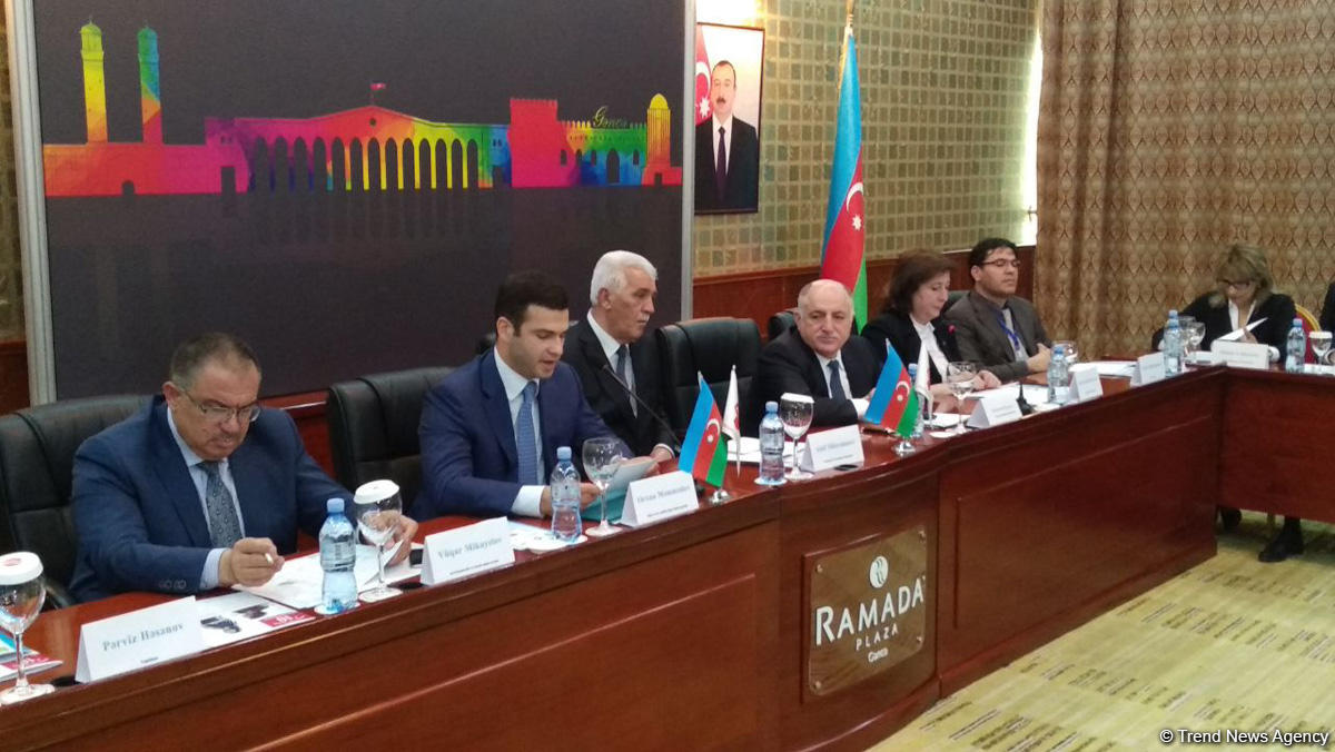 Орхан Мамедов: В Азербайджане важна интеграция научно-инновационных идей бизнеса в реализацию промышленного потенциала (ФОТО)