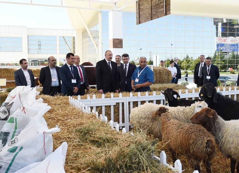 Президент Ильхам Алиев ознакомился с XXIV Азербайджанской международной продовольственной выставкой (ФОТО)