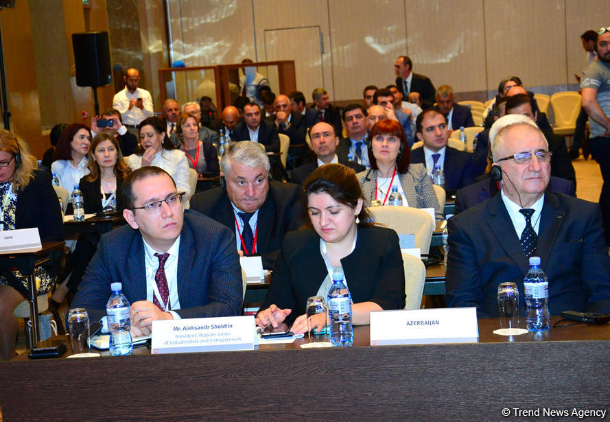 Азербайджан продолжит борьбу с неформальной занятостью - министр (ФОТО)