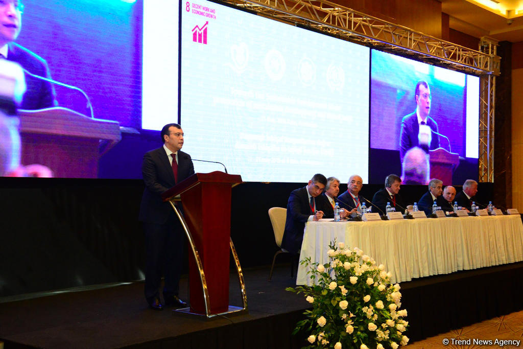 Азербайджан продолжит борьбу с неформальной занятостью - министр (ФОТО)