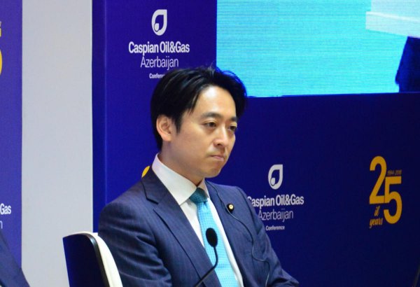 Нефтегазовые проекты в Азербайджане и Казахстане очень важны для энергобезопасности Японии - замминистра