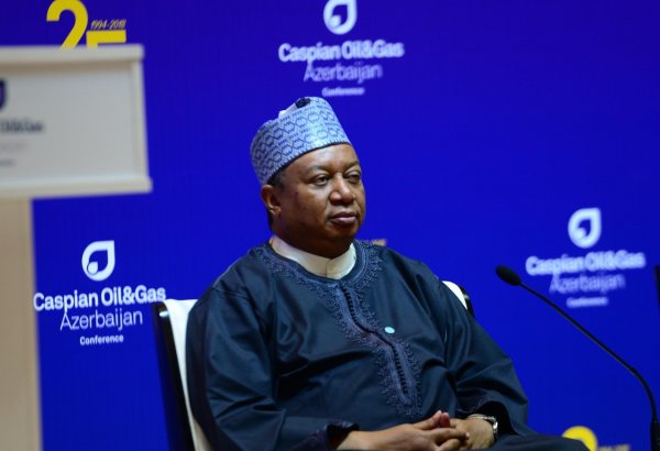 Мохаммед Баркиндо: ОПЕК рассчитывает на продолжение тесного сотрудничества с Азербайджаном