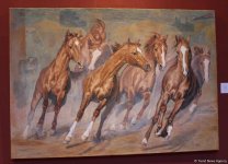 Карабахские скакуны в Финляндии (ФОТО)