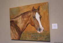 Карабахские скакуны в Финляндии (ФОТО)