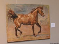 Карабахские скакуны в Финляндии (ФОТО)