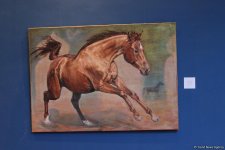 Карабахские скакуны в Финляндии (ФОТО)