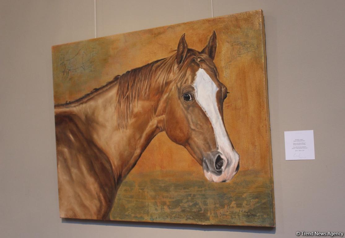 Карабахские скакуны в Финляндии (ФОТО)