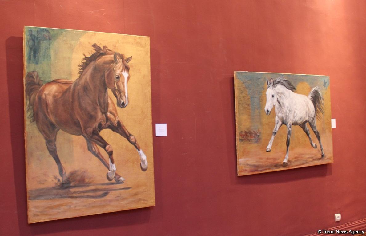 Карабахские скакуны в Финляндии (ФОТО)