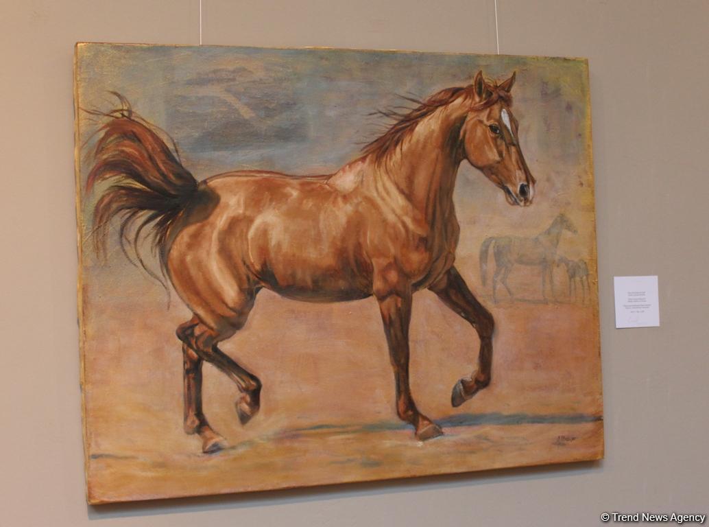 Карабахские скакуны в Финляндии (ФОТО)