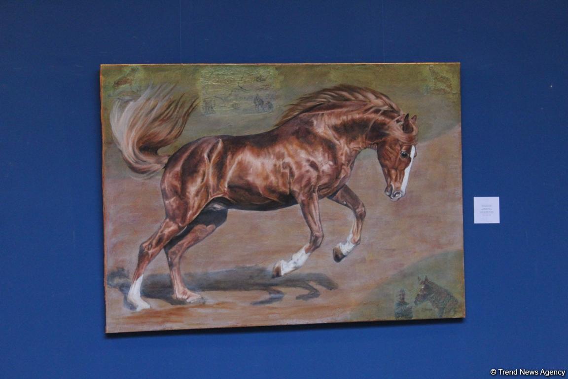 Карабахские скакуны в Финляндии (ФОТО)