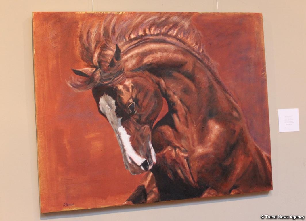 Карабахские скакуны в Финляндии (ФОТО)