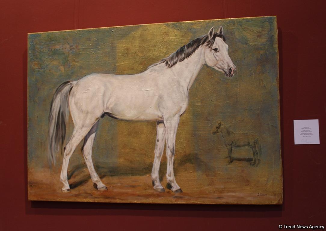 Карабахские скакуны в Финляндии (ФОТО)