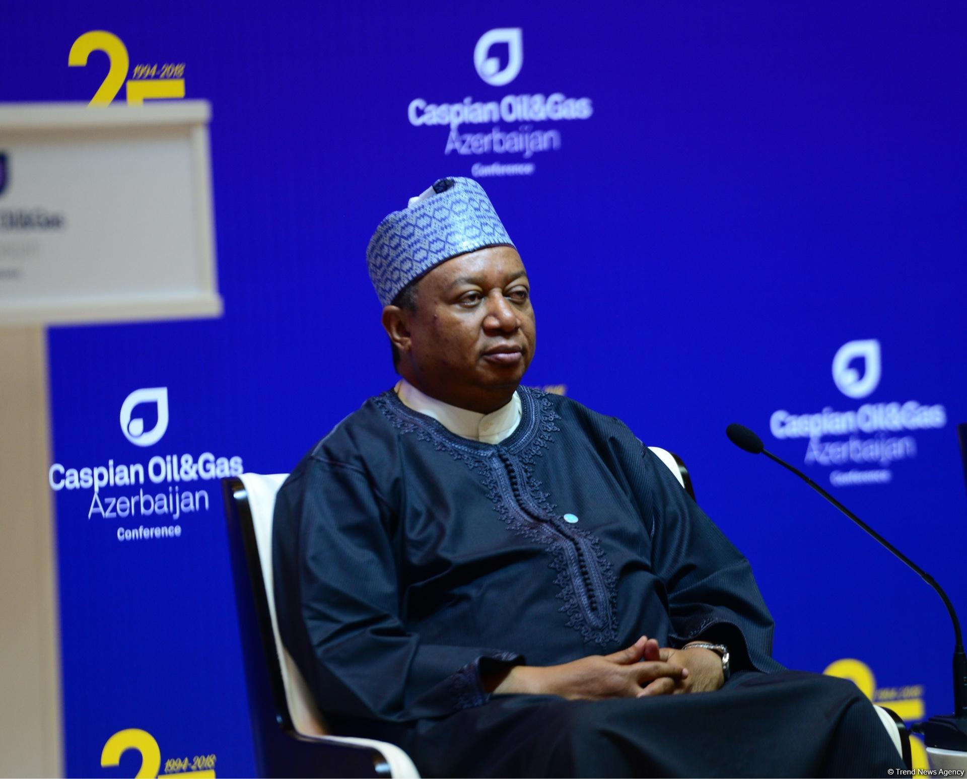 Мохаммед Баркиндо: ОПЕК рассчитывает на продолжение тесного сотрудничества с Азербайджаном