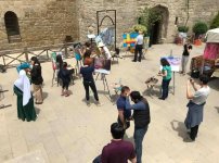 Азербайджанцы нарисовали Швецию (ФОТО)