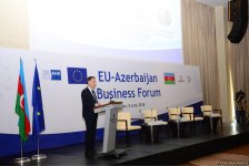 Инвестиции ЕС в Азербайджан за последние 5 лет превысили $15 млрд - замминистра (ФОТО)