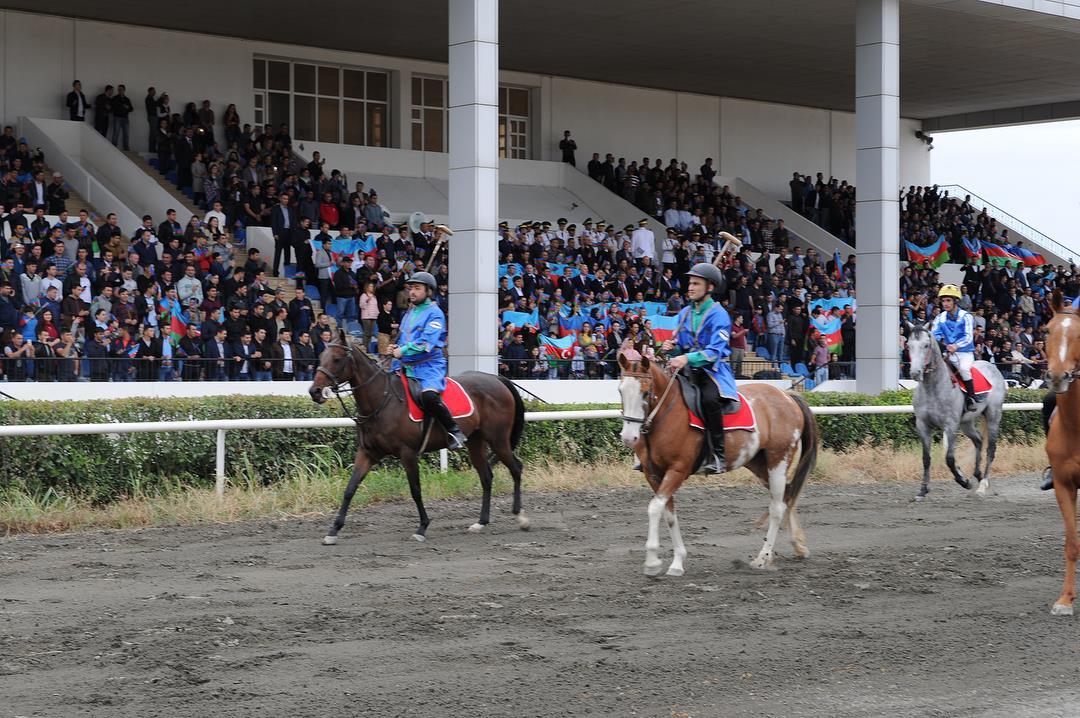В Азербайджане проходит Национальный фестиваль конного спорта (ФОТО)