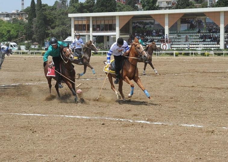 В Азербайджане проходит Национальный фестиваль конного спорта (ФОТО)