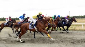 В Азербайджане проходит Национальный фестиваль конного спорта (ФОТО)