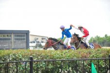 В Азербайджане проходит Национальный фестиваль конного спорта (ФОТО)