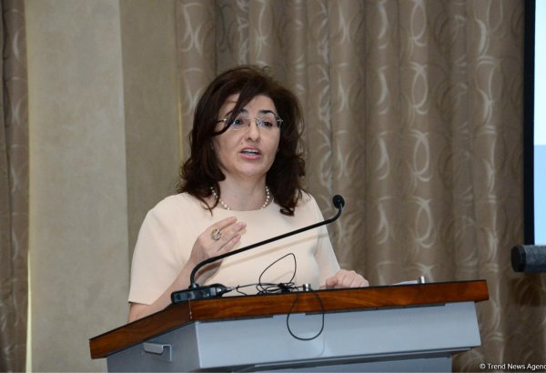 Севиндж Гасанова: Оккупация азербайджанских земель препятствует устойчивому развитию в регионе