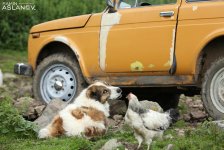 Невероятные кадры из Гедабекского района Азербайджана (ФОТО)