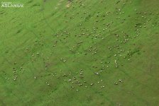 Невероятные кадры из Гедабекского района Азербайджана (ФОТО)