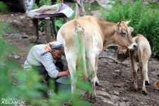 Невероятные кадры из Гедабекского района Азербайджана (ФОТО)