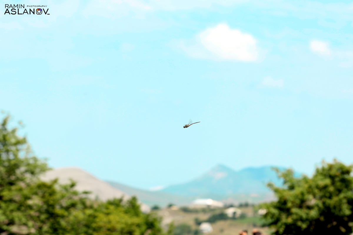 Власти Хайнаня оштрафовали нарушителей экологии на $26 млн