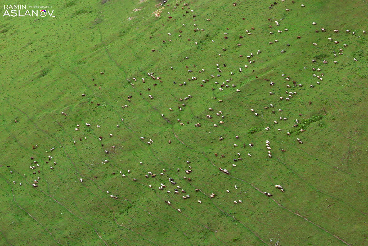 Невероятные кадры из Гедабекского района Азербайджана (ФОТО)