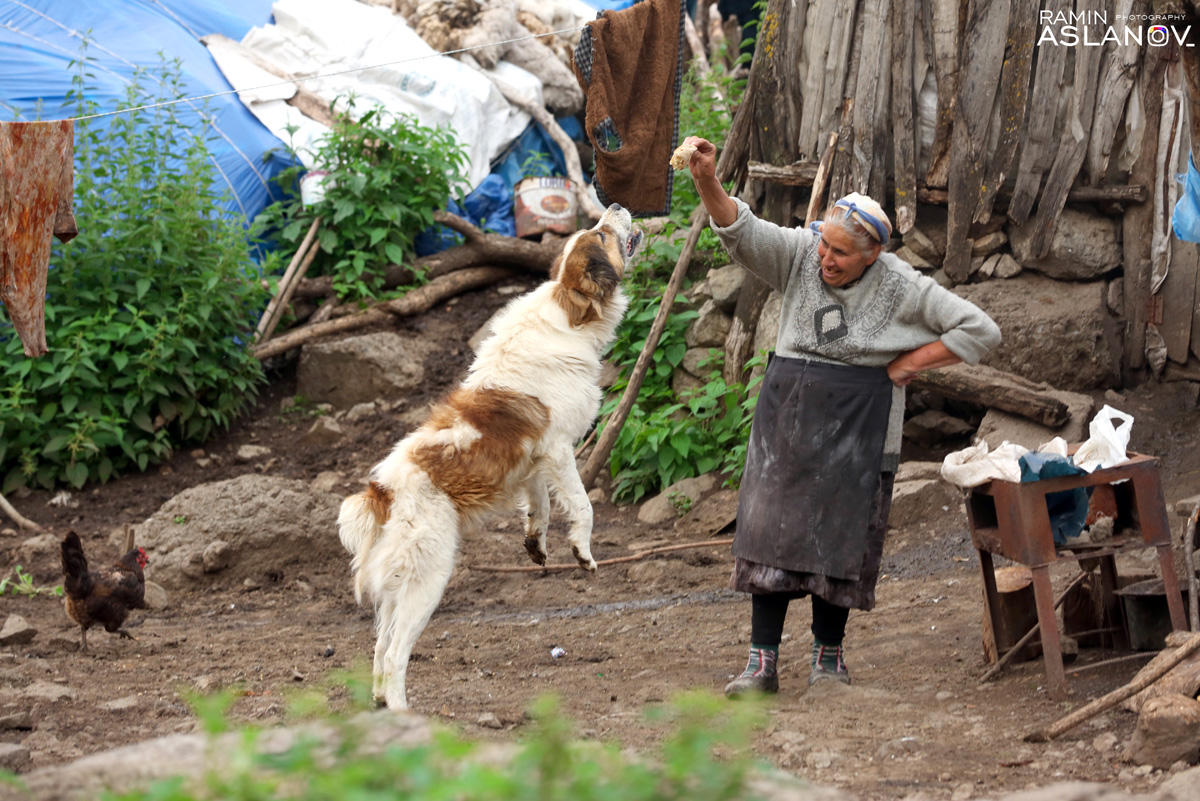 Невероятные кадры из Гедабекского района Азербайджана (ФОТО)