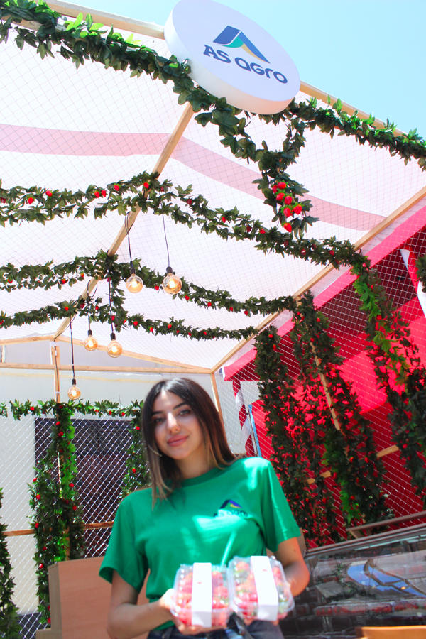 В Баку открылся летний Фестиваль еды – две недели объедения! (ФОТО)