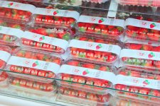 В Баку открылся летний Фестиваль еды – две недели объедения! (ФОТО)