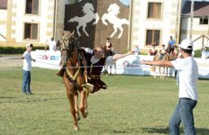 Верхом на лошадях со специальной клюшкой - победители Национального фестиваля конного спорта в Азербайджане  (ФОТО)
