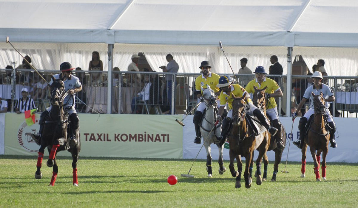 Верхом на лошадях со специальной клюшкой - победители Национального фестиваля конного спорта в Азербайджане  (ФОТО)