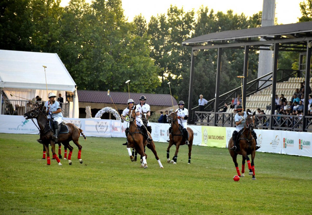Верхом на лошадях со специальной клюшкой - победители Национального фестиваля конного спорта в Азербайджане  (ФОТО)
