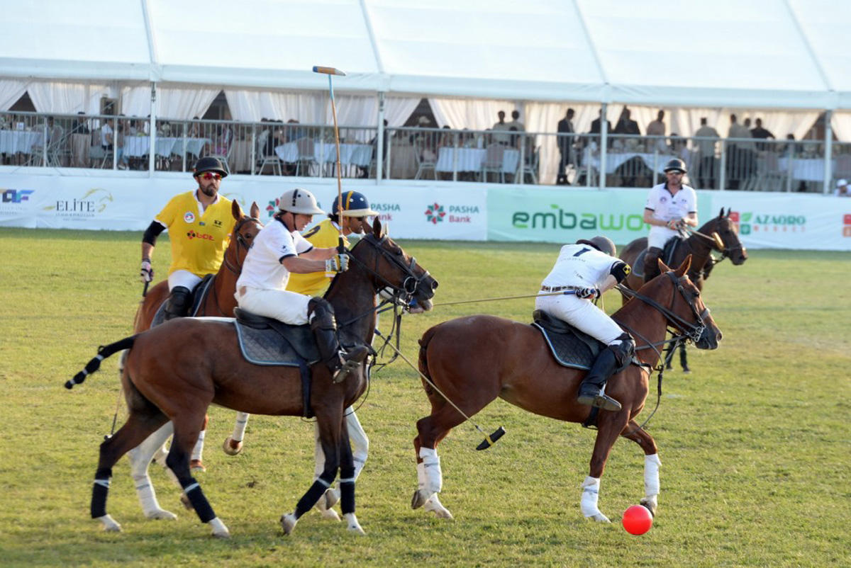 Верхом на лошадях со специальной клюшкой - победители Национального фестиваля конного спорта в Азербайджане  (ФОТО)
