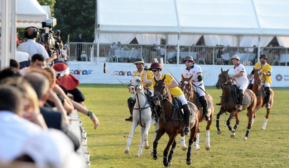 Верхом на лошадях со специальной клюшкой - победители Национального фестиваля конного спорта в Азербайджане  (ФОТО)