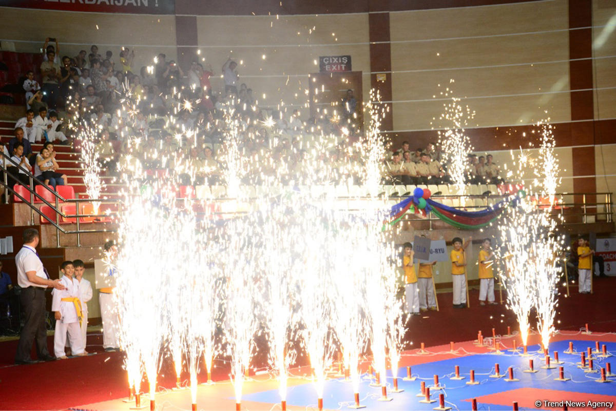 В Баку проходит международный турнир по каратэ памяти Национального героя Альберта Агарунова (ФОТО)