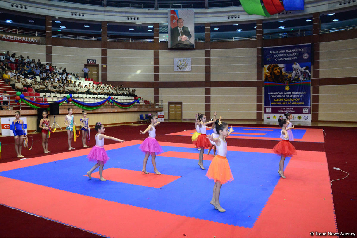 В Баку проходит международный турнир по каратэ памяти Национального героя Альберта Агарунова (ФОТО)
