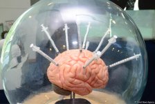 В Азербайджане с начала года из оборота изъято 1,4 тонны наркотиков (ФОТО)