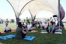 Йога на открытом воздухе - масштабный Фестиваль в Баку (ФОТО)