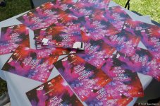 Йога на открытом воздухе - масштабный Фестиваль в Баку (ФОТО)