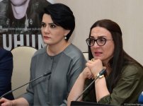 Военный парад еще раз показал, что Азербайджан освободит свои земли от оккупации -  Афлатун Амашев (ФОТО)